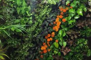 طراحی و دکوراسیون داخلی